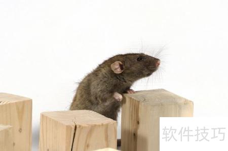 有什么办法不让老鼠进屋 ChMkLWkimVyIPEDmAAAmwRDbeLwAAGflAMcUYYAACbZ742.jpg