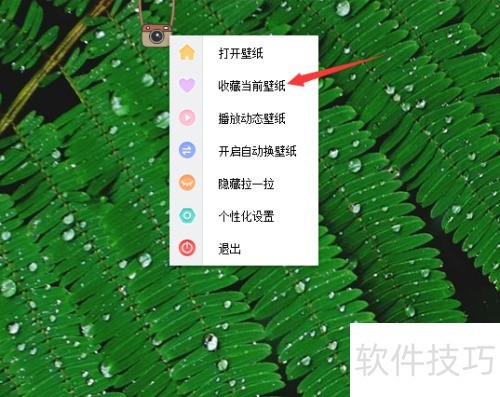 С���ֽ����ղ��Զ������ı�ֽ