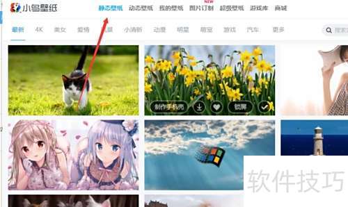 小鸟壁纸如何设置明星壁纸？