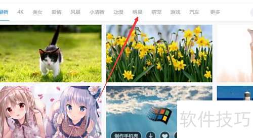 小鸟壁纸如何设置明星壁纸？