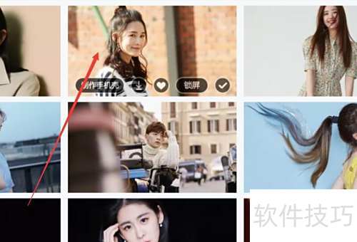 小鸟壁纸如何设置明星壁纸？