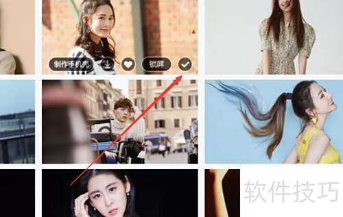 小鸟壁纸如何设置明星壁纸？