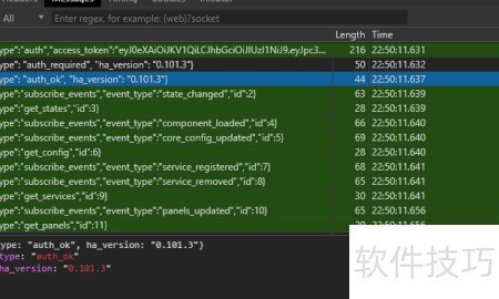 home assistant查看前端websocket