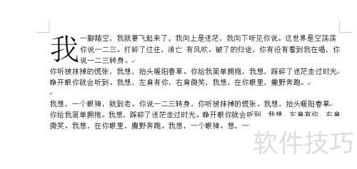 Microsoft Office word2007������������³�