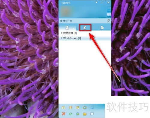 �ɸ봫������˳�Ⱥ��
