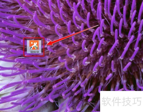 �ɸ봫����δ���Ⱥ��