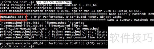Centos8 使用yum 安装memcached Centos8 使用yum 安装memcached