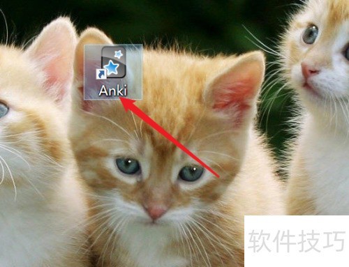 anki如何添加插件 anki如何添加插件