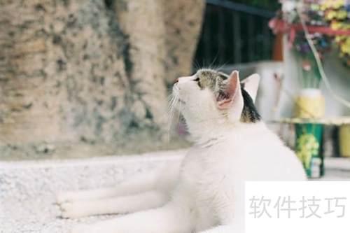 Shadow Defender��ô���˲�������