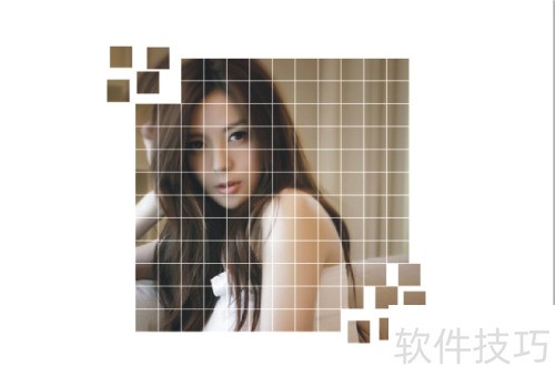 coreldraw x4 ��������ͼƬ