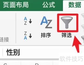 excel��Ů�Ա�ѡ��ʽ����(excel��ô���Ա�ɸѡ��Ů����)
