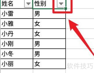 excel��Ů�Ա�ѡ��ʽ����(excel��ô���Ա�ɸѡ��Ů����)
