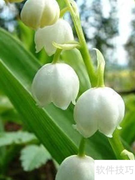 ҪPythonнWordĵתΪPDFʹõpython-do