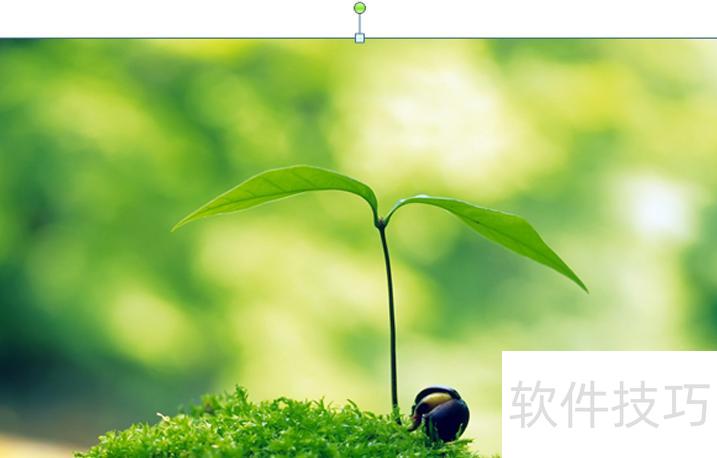 怎样用ppt制作马赛克-ppt中如何将图片打上马赛克 怎样用ppt制作马赛克-ppt中如何将图片打上马赛克