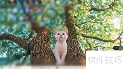 prtscr��û��Ӧ