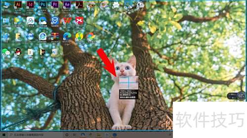 prtscr��û��Ӧ