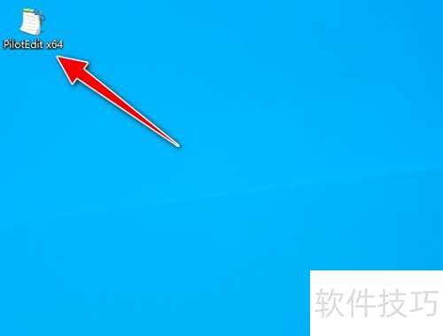 �����PilotEdit���߽����ַ�����ĸ��Сд��ת