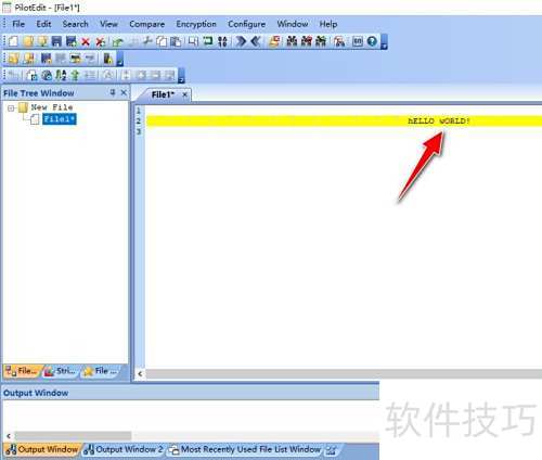 �����PilotEdit���߽����ַ�����ĸ��Сд��ת