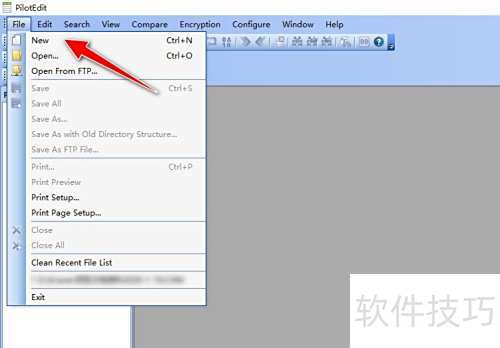 �����PilotEdit���߽����ַ�����ĸ��Сд��ת