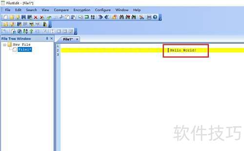 �����PilotEdit���߽����ַ�����ĸ��Сд��ת
