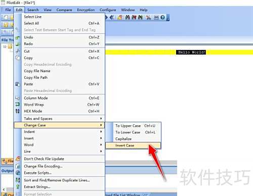 �����PilotEdit���߽����ַ�����ĸ��Сд��ת