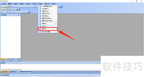 PilotEdit������ò����������ļ�