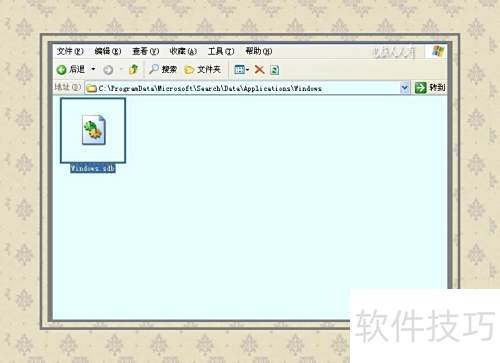 ϵͳ����[24]Windows search��������