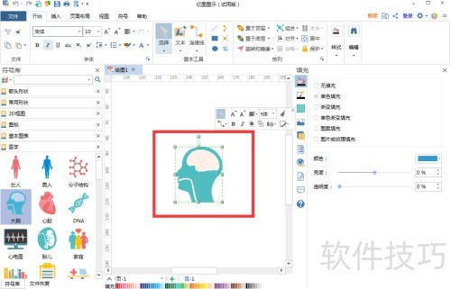 在亿图图示中创建大脑图 在亿图图示中创建大脑图