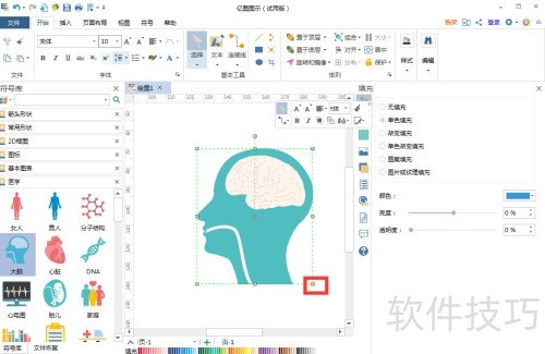 在亿图图示中创建大脑图 在亿图图示中创建大脑图
