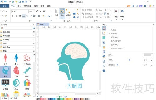 在亿图图示中创建大脑图 在亿图图示中创建大脑图