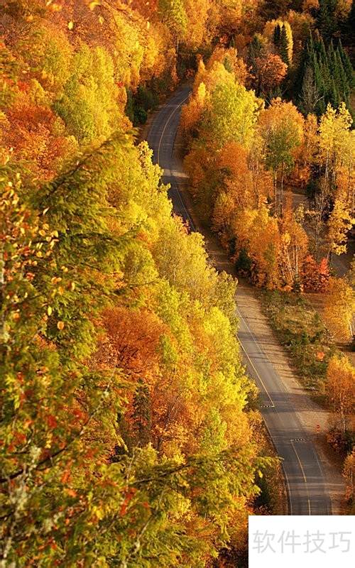 ������ת�ֻ�