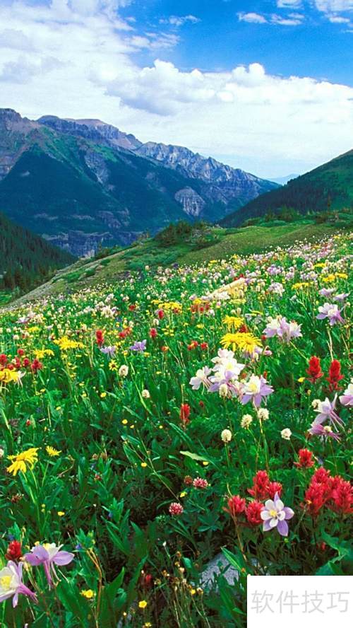 ������ת�ֻ�