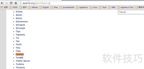 如何安装Apache Tomcat并使用Tomcat发布网站 如何安装Apache Tomcat并使用Tomcat发布网站