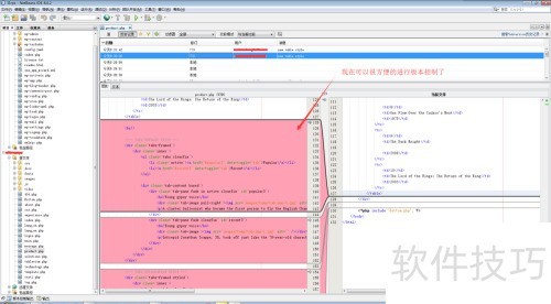 NetBeans IDE 中使用 SVN NetBeans IDE 中使用 SVN