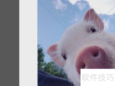 adobe illustrator cs6�����Ƕ��ͼƬ