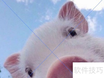 adobe illustrator cs6�����Ƕ��ͼƬ