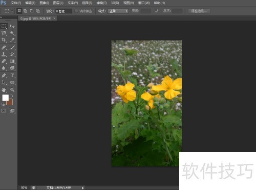 photoshop cs6�ر���Ƭ