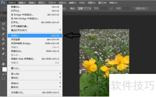 photoshop cs6�ر���Ƭ