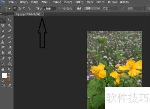 photoshop cs6�ر���Ƭ