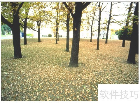 CorelDRAW X8��ô����ͼ�������