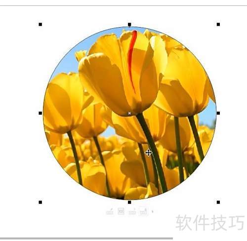 CorelDRAW X8 �����̳̣�PowerClip2