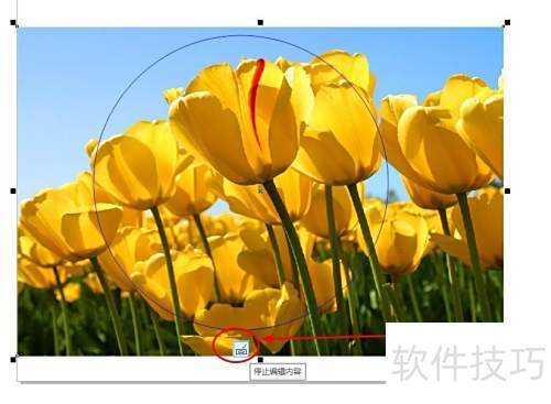 CorelDRAW X8 �����̳̣�PowerClip2