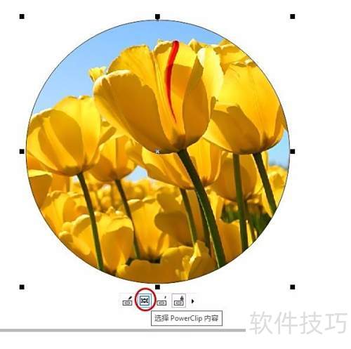 CorelDRAW X8 �����̳̣�PowerClip2