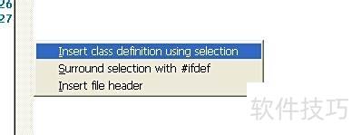 Visual Assist X��ʹ��
