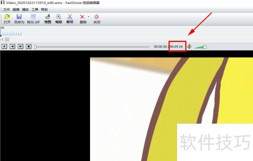�����FastStone Capture������Ƶ