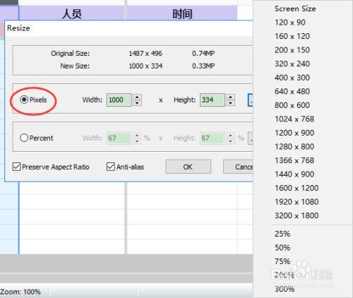 FastStone Capture�������ͼƬ�ĳߴ磿