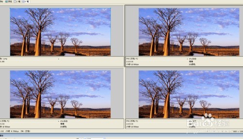 Fireworks��ô�л���ͼģʽ