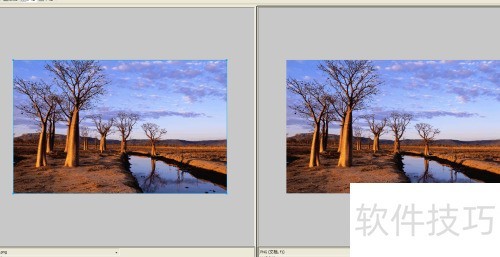 Fireworks��ô�л���ͼģʽ