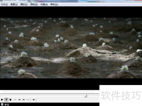 ��ô���ñ���Ӱ�Ե���Ƶ���Ϊ�����ݺ�ȣ�