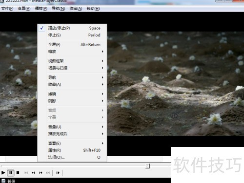 ��ô���ñ���Ӱ�Ե���Ƶ���Ϊ�����ݺ�ȣ�